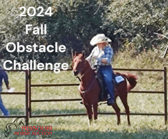 Image for April-10 DAY, ONLINE ONLY Horse Auction