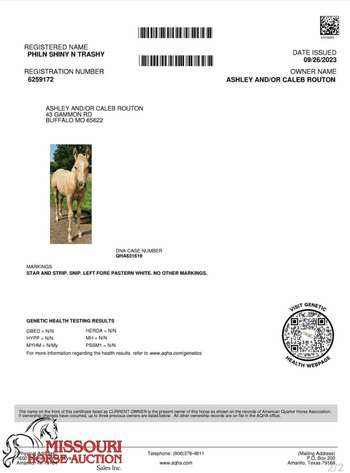 Image for April-10 DAY, ONLINE ONLY Horse Auction