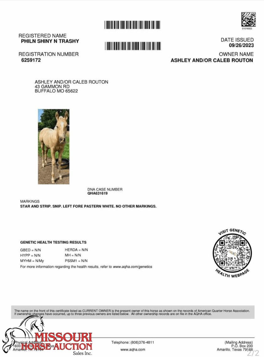 Image for April-10 DAY, ONLINE ONLY Horse Auction