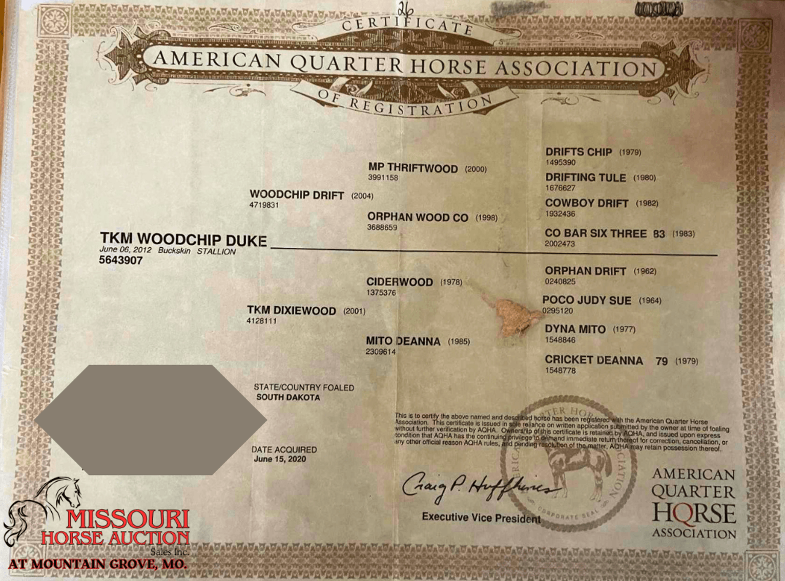 Image for Missouri Horse Auction AT MOUNTAIN GROVE- FRIDAY, MAY 9TH, 2025
