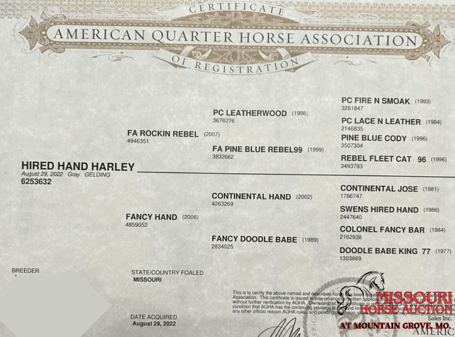 Image for Missouri Horse Auction AT MOUNTAIN GROVE- FRIDAY, JULY 11TH, 2025