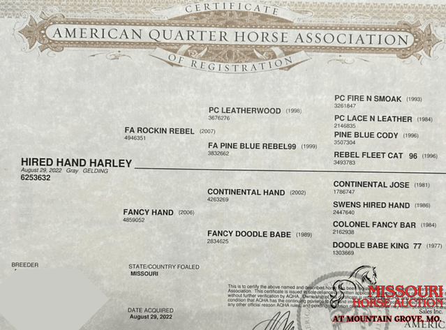 Image for Missouri Horse Auction AT MOUNTAIN GROVE- FRIDAY, JULY 11TH, 2025