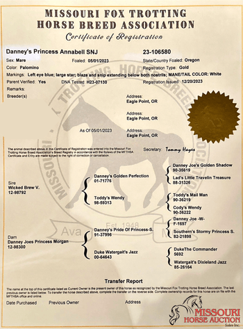 Image for Missouri Horse Auction AVA TRAIL HORSE SALE- SATURAY, SEPTEMBER 6TH, 2025