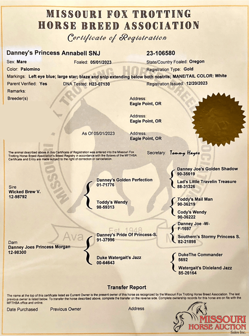 Image for Missouri Horse Auction AVA TRAIL HORSE SALE- SATURAY, SEPTEMBER 6TH, 2025