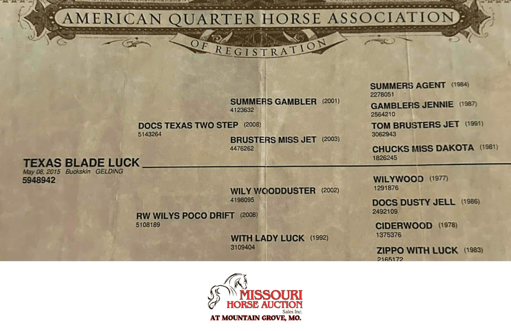 Image for Missouri Horse Auction AT MOUNTAIN GROVE- FRIDAY, SEPTEMBER 12TH, 2025