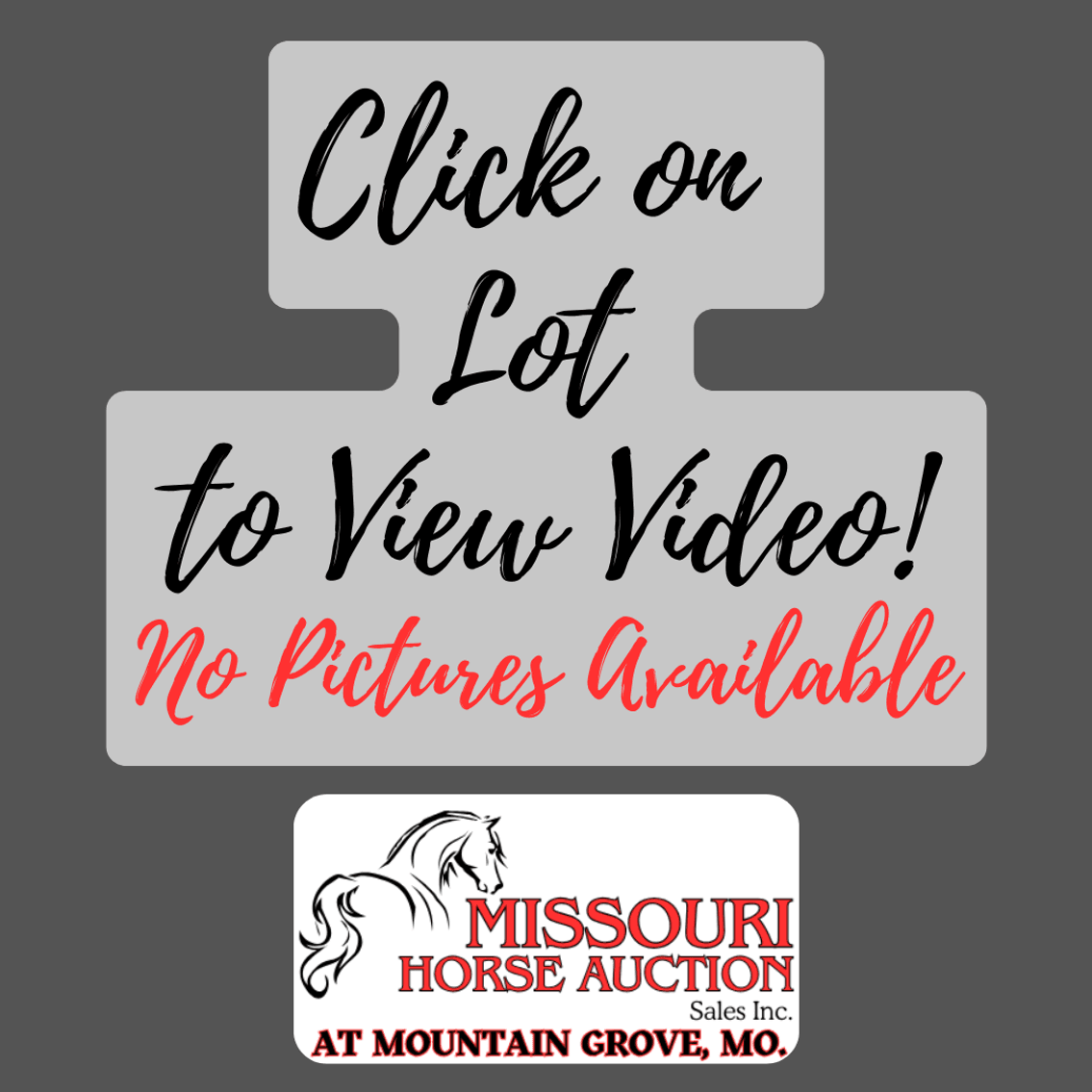 Image for Missouri Horse Auction AT MOUNTAIN GROVE- FRIDAY, OCTOBER 10TH, 2025