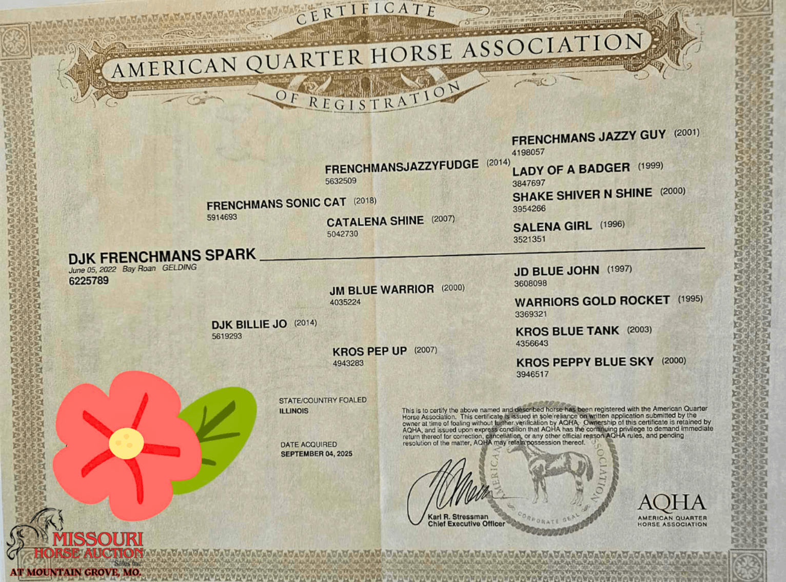 Image for Missouri Horse Auction AT MOUNTAIN GROVE- FRIDAY, NOVEMBER 14TH, 2025