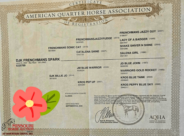 Image for Missouri Horse Auction AT MOUNTAIN GROVE- FRIDAY, NOVEMBER 14TH, 2025