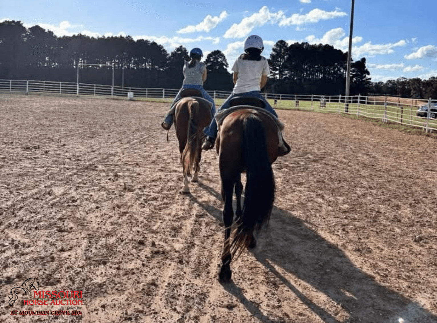 Image for Missouri Horse Auction AT MOUNTAIN GROVE- FRIDAY, MARCH 13TH, 2026