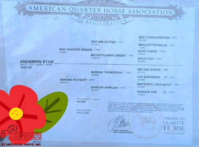 Image for Missouri Horse Auction AT MOUNTAIN GROVE- FRIDAY, APRIL 10TH, 2026