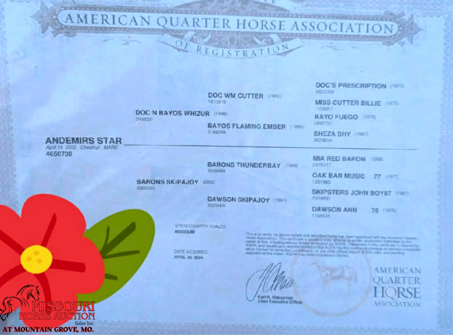 Image for Missouri Horse Auction AT MOUNTAIN GROVE- FRIDAY, APRIL 10TH, 2026