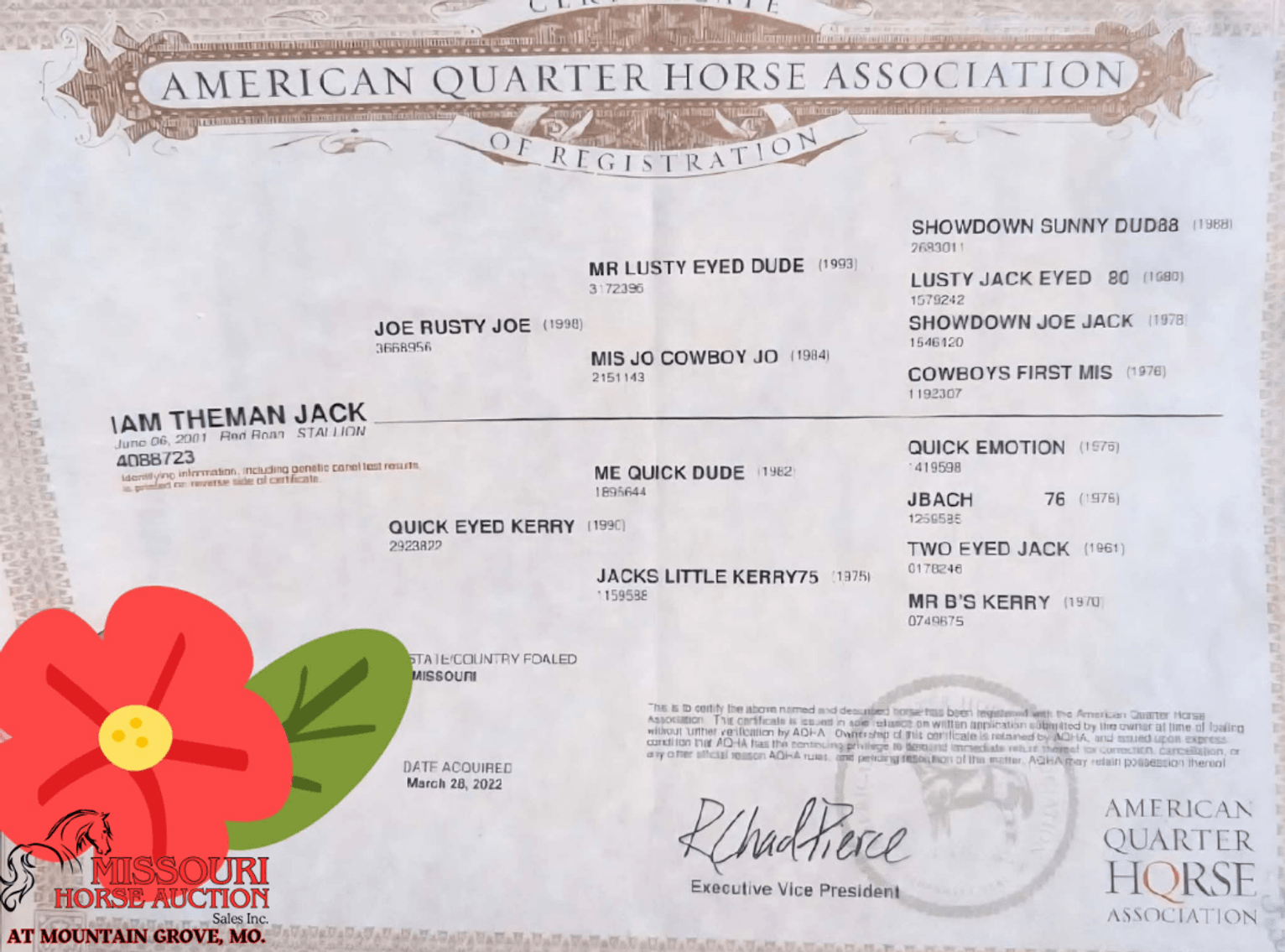 Image for Missouri Horse Auction AT MOUNTAIN GROVE- FRIDAY, APRIL 10TH, 2026