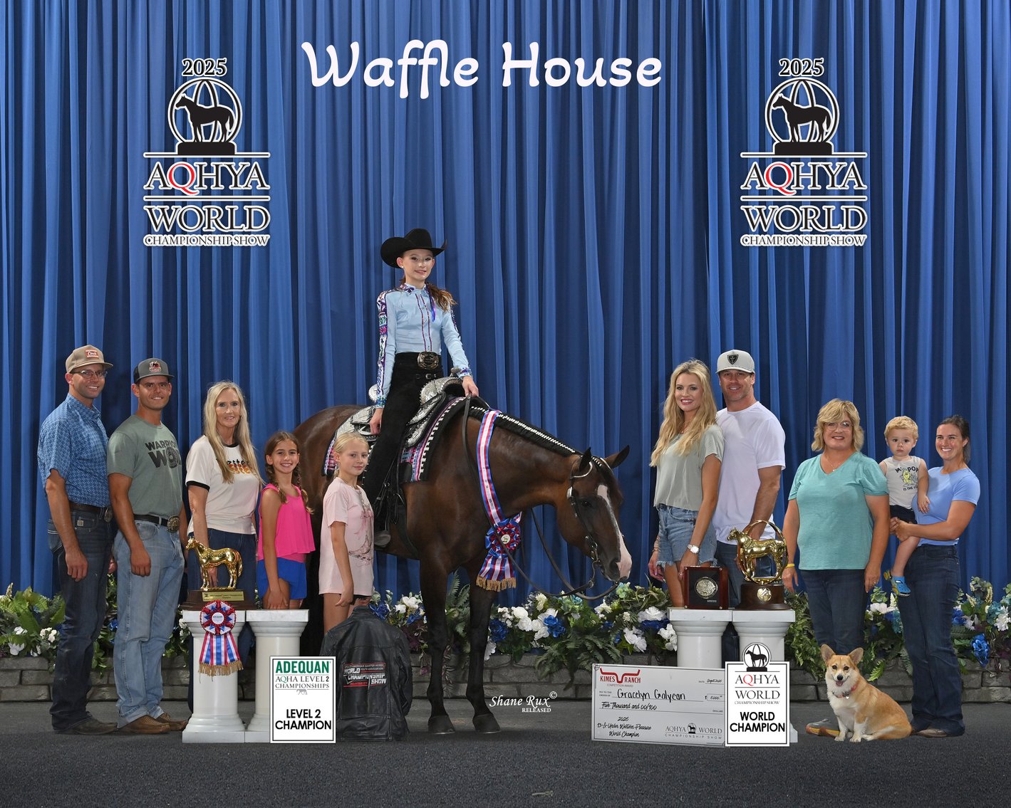 Image for The Vital Sale