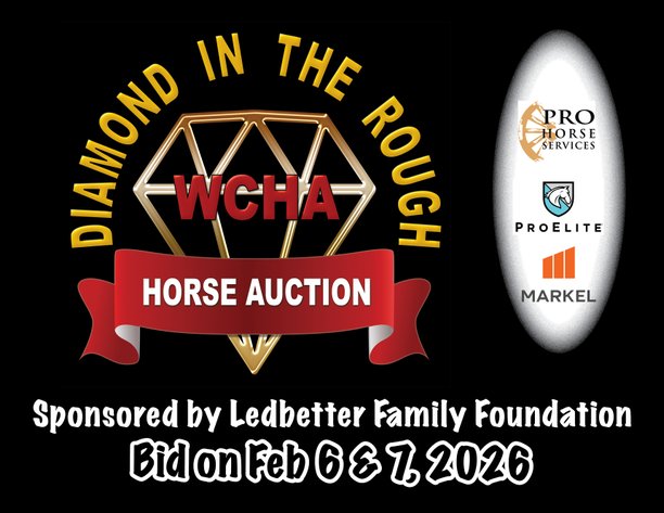 Image for WCHA Diamond in the Rough Online Auction
