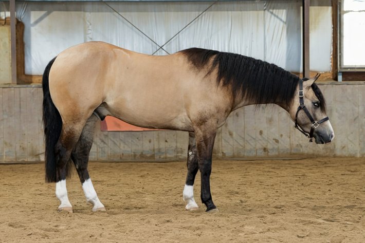 Image for 2026 April Internet Auction