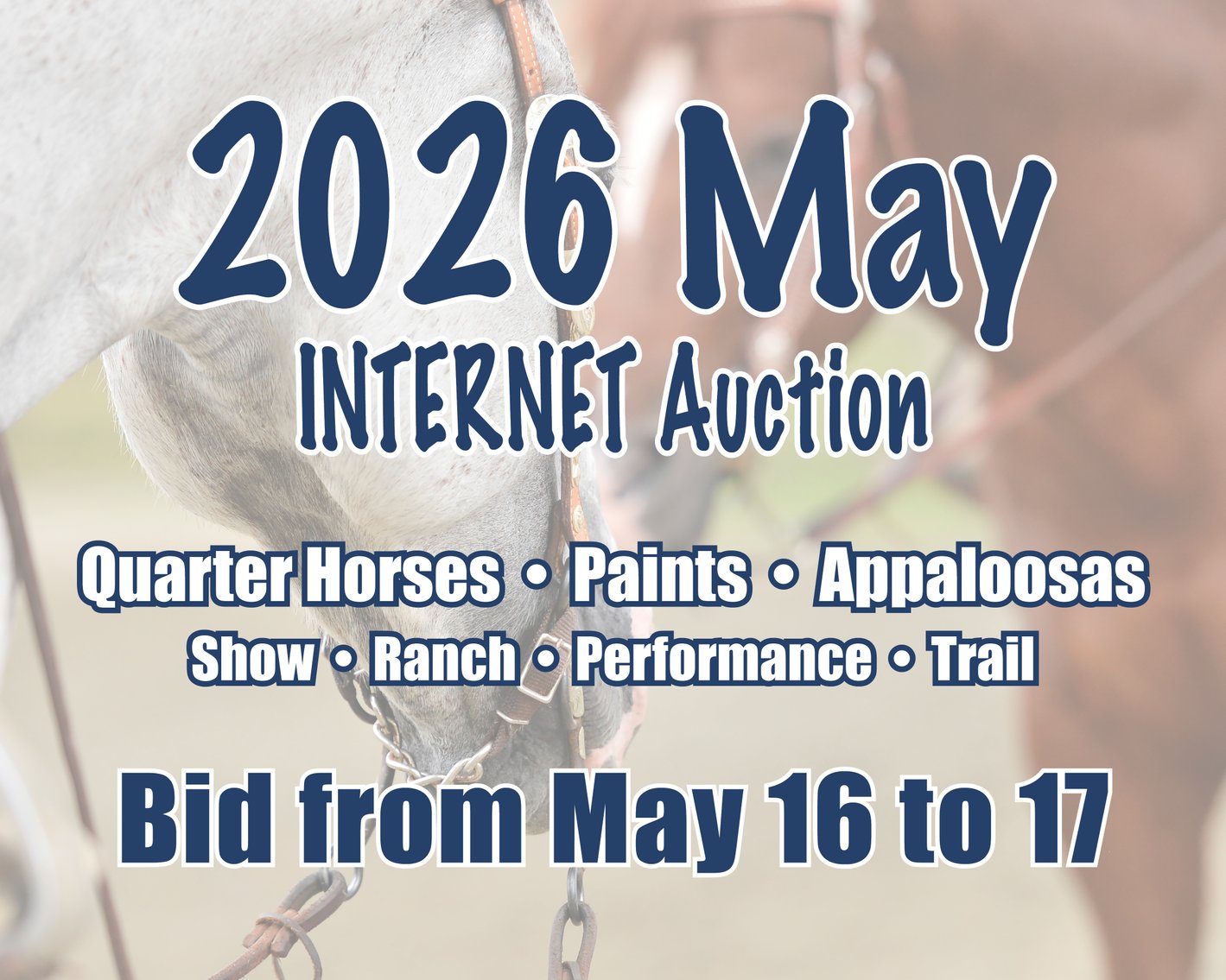 Image for 2026 May Internet Auction