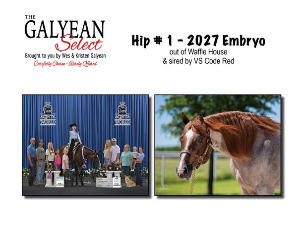 Image for The Galyean Select Sale