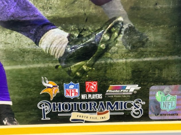 Image for Adrian Peterson - 2007 Rookie of the Year - “Photoramics” (20” x 44”)