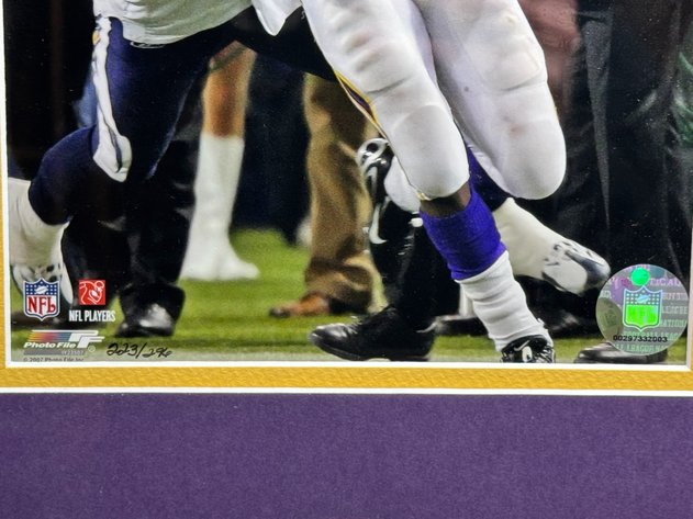 Image for Adrian Peterson - Single Game Rushing Record Framed Commemorative Photographs (Limited 296) 17.5” x 25.5”