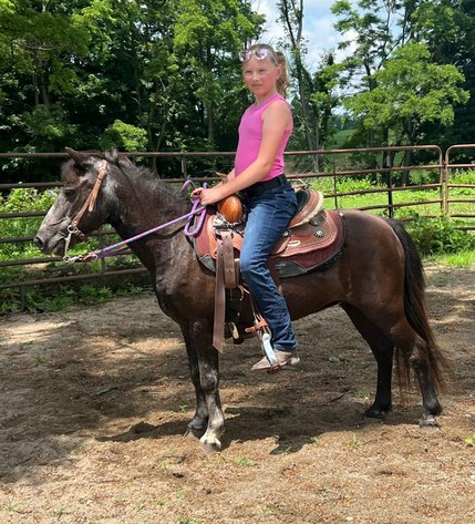 Image for Hamilton County Horse & Tack Sale -SATURDAY July 19th - Noblesville, IN