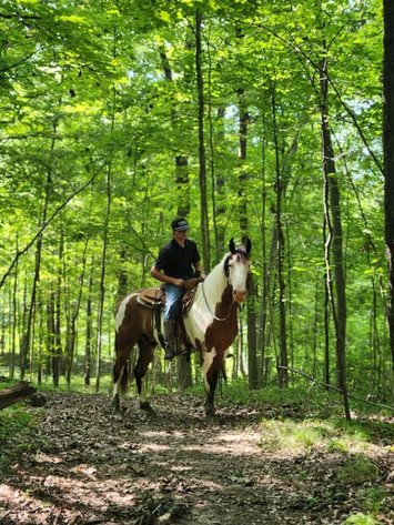 Image for Hamilton County Horse & Tack Sale -SATURDAY April 18th -  Noblesville, IN