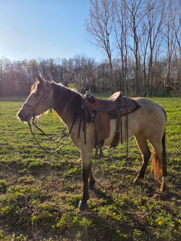 Image for Hamilton County Horse & Tack Sale -SATURDAY April 18th -  Noblesville, IN