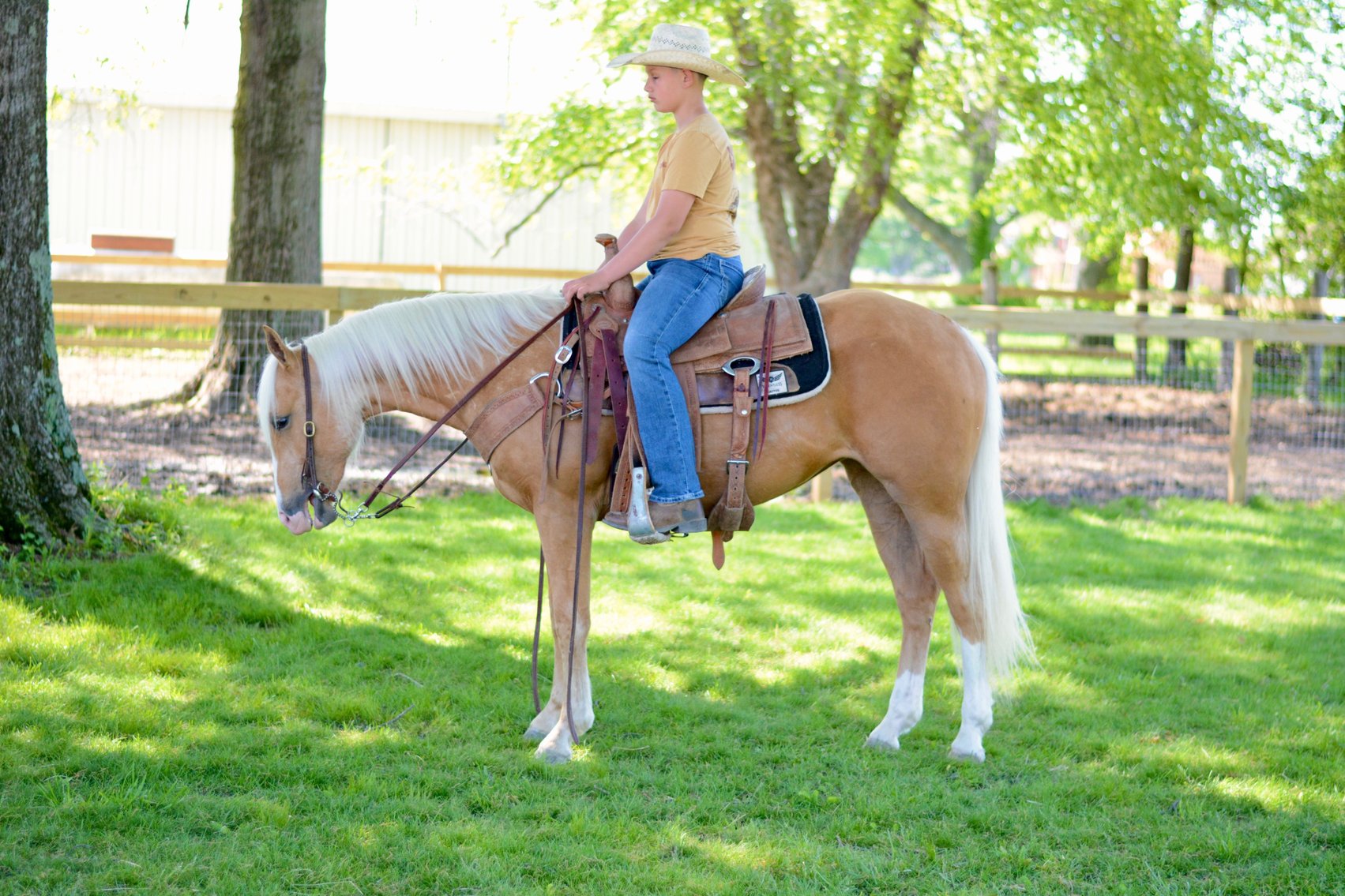 Image for Hamilton County Horse & Tack Sale -SATURDAY May 16th -  Noblesville, IN