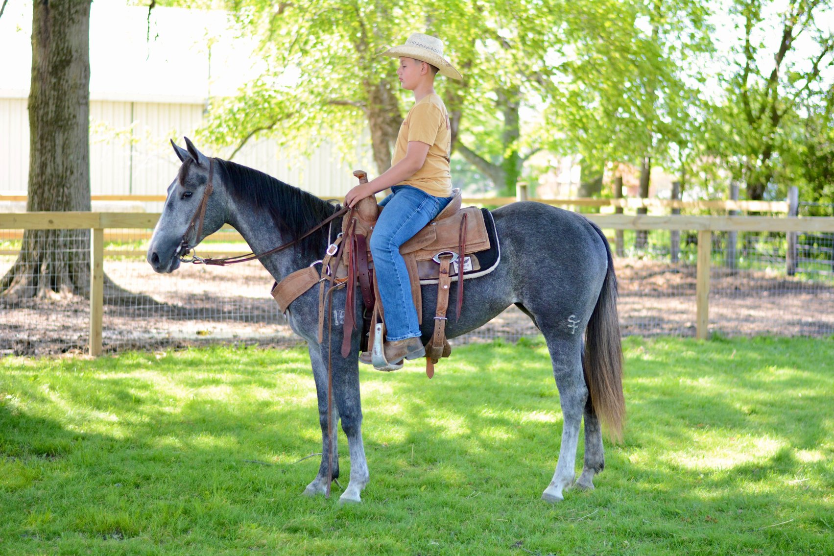 Image for Hamilton County Horse & Tack Sale -SATURDAY May 16th -  Noblesville, IN