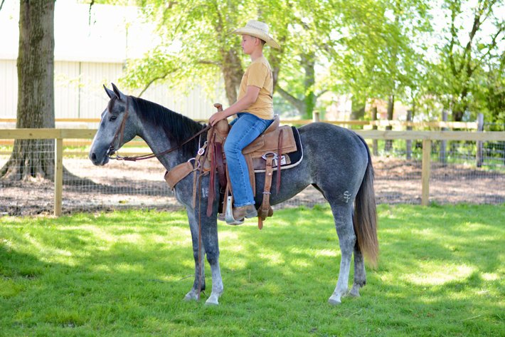 Image for Hamilton County Horse & Tack Sale -SATURDAY May 16th -  Noblesville, IN