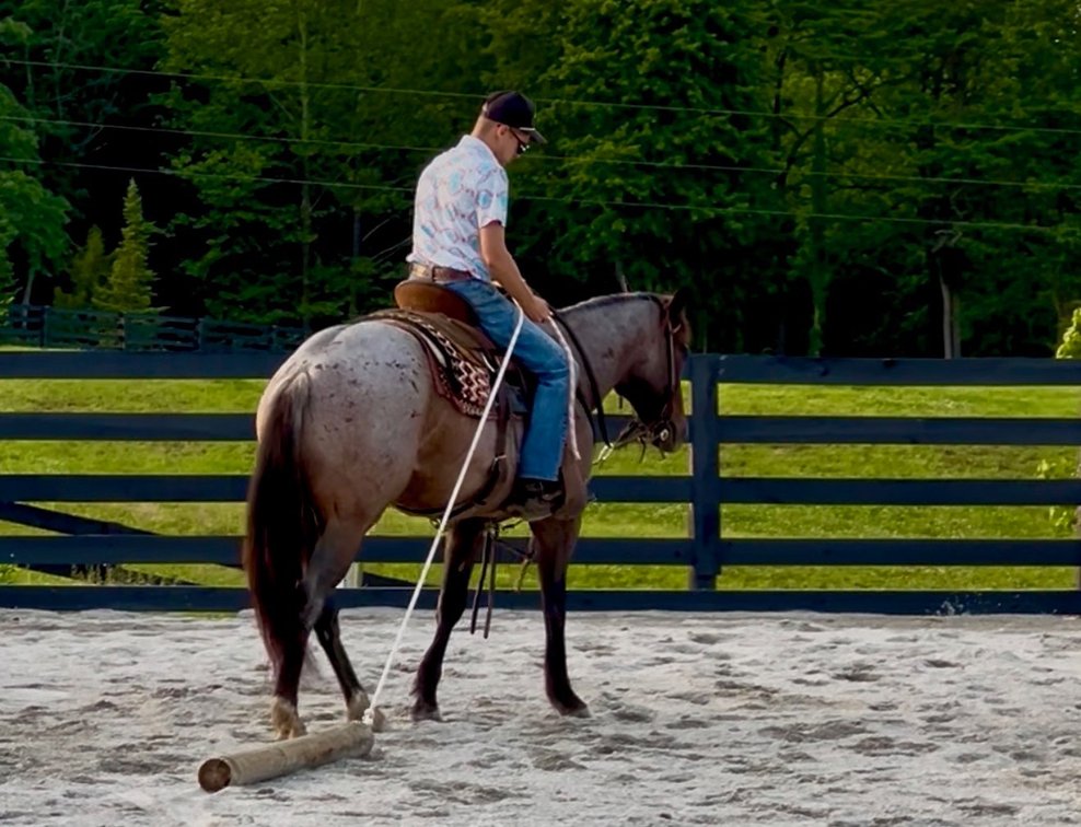 Image for Hamilton County Horse & Tack Sale -SATURDAY June 6th -  Noblesville, IN