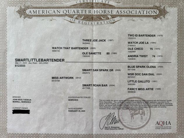 Image for Hamilton County Horse & Tack Sale -SATURDAY June 6th -  Noblesville, IN