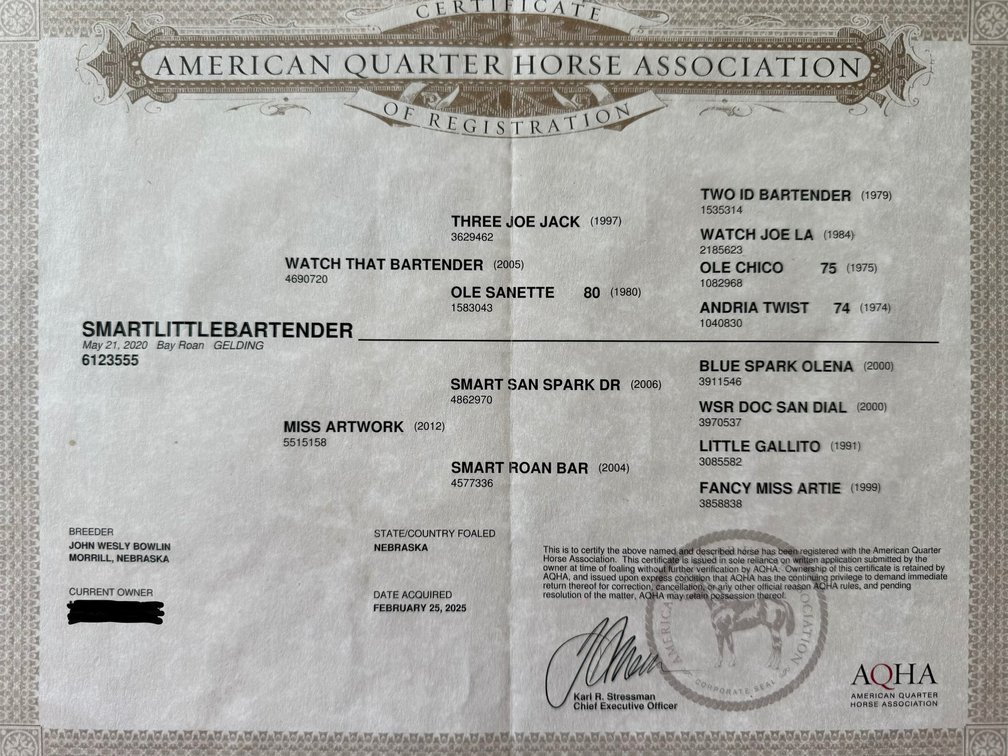 Image for Hamilton County Horse & Tack Sale -SATURDAY June 6th -  Noblesville, IN