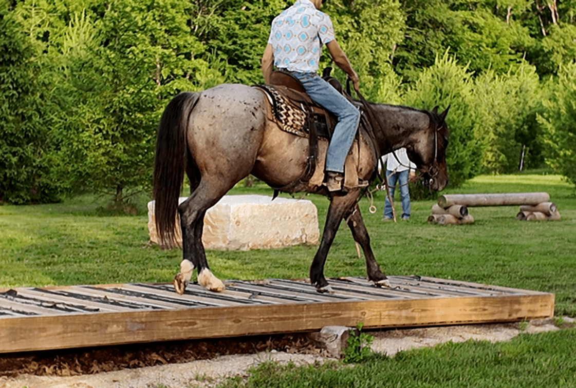 Image for Hamilton County Horse & Tack Sale -SATURDAY June 6th -  Noblesville, IN