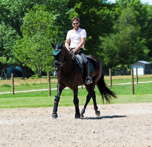 Image for Hamilton County Horse & Tack Sale -SATURDAY June 20th-Noblesville, IN