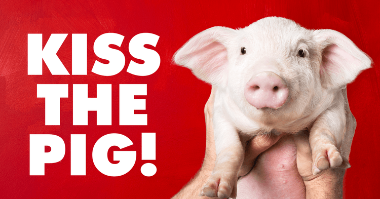 Image for Make Brian Damewood Kiss-A-Pig!
