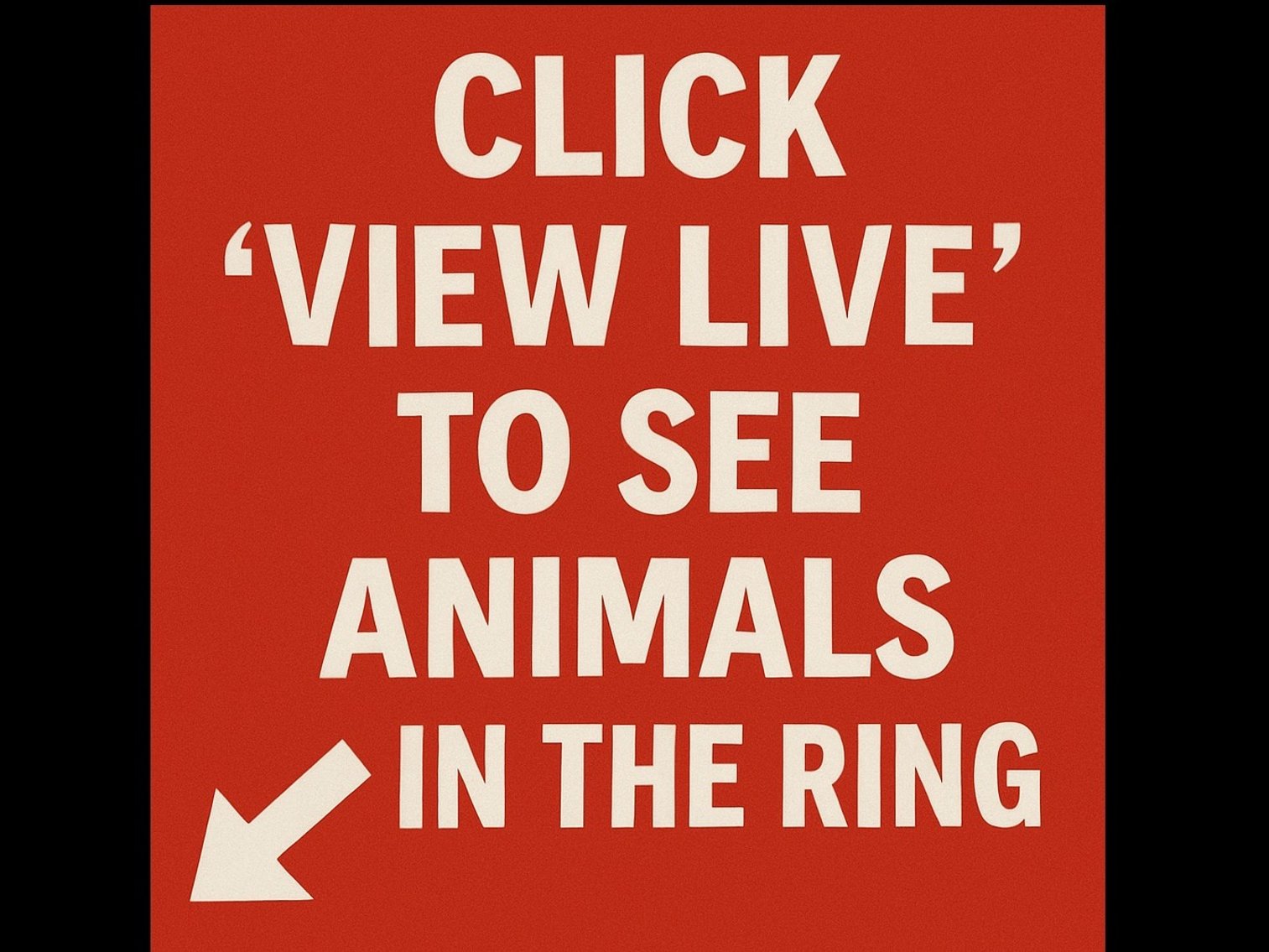 Image for Loudoun County Fair Youth Livestock Auction