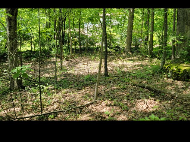 Image for TBD Paradise Lake Road