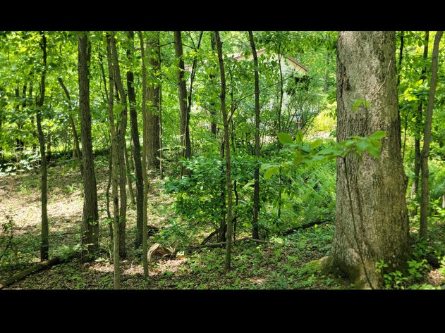 Image for TBD Paradise Lake Road