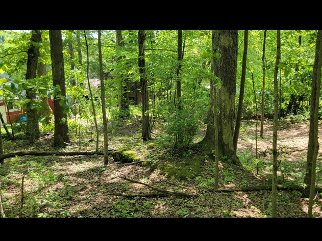 Image for TBD Paradise Lake Road