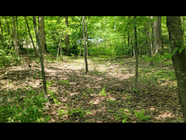 Image for TBD Paradise Lake Road