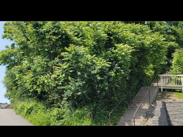 Image for Parcel 314 Lorentz Ave, Morgantown WV 26505