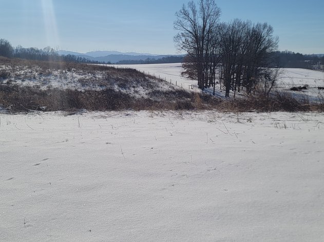 Image for 20.6 Acre Lot! TBD Morgantown Pike Phillipi WV 26416