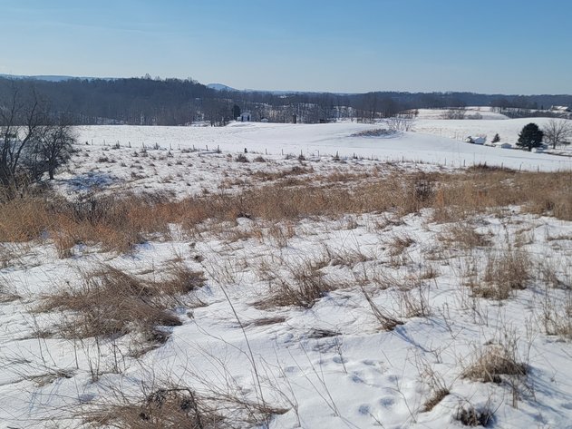 Image for 20.6 Acre Lot! TBD Morgantown Pike Phillipi WV 26416