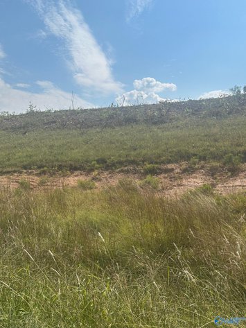 Image for 15 +/- Commercial Acres with highway frontage on both Hwy 411 and Old Hwy 411 in Centre, Alabama