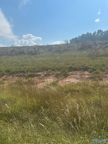 Image for 15 +/- Commercial Acres with highway frontage on both Hwy 411 and Old Hwy 411 in Centre, Alabama