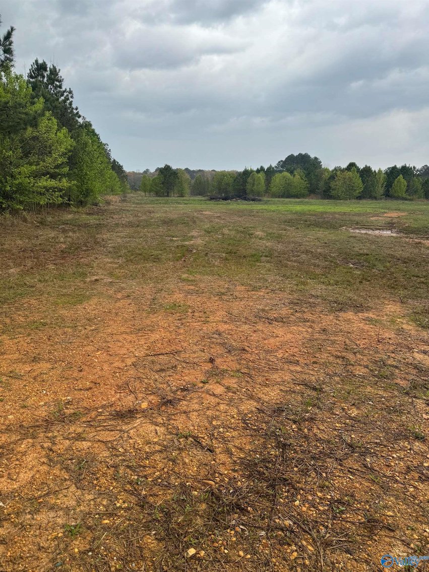 Image for 6705 County Road 22, Centre, AL 35960