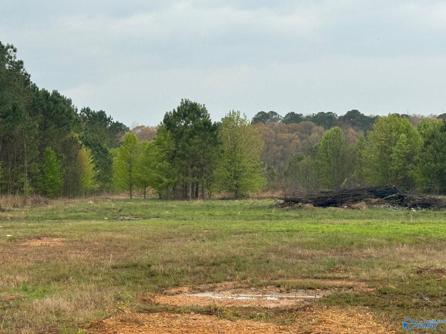 Image for 6705 County Road 22, Centre, AL 35960