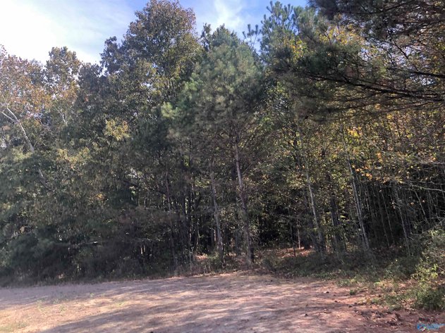 Image for 16 Acres County Road 239, Centre, AL 35960