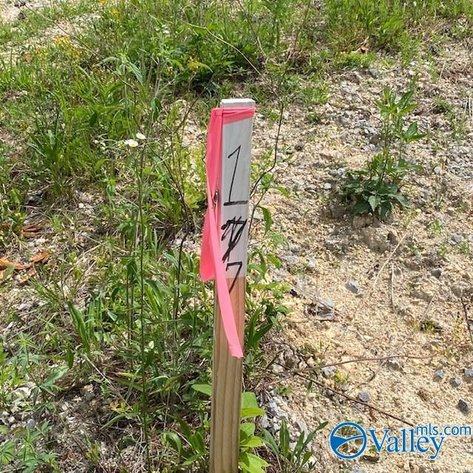 Image for 4070 Highway 273, unit 17, Leesburg, AL 35983