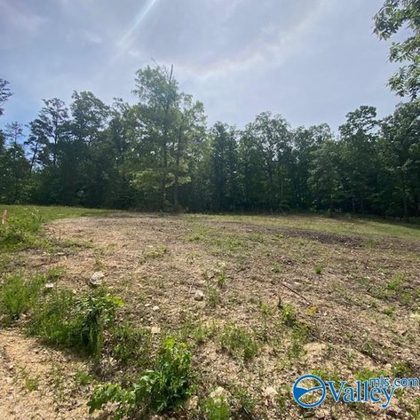 Image for 4070 Highway 273, unit 17, Leesburg, AL 35983